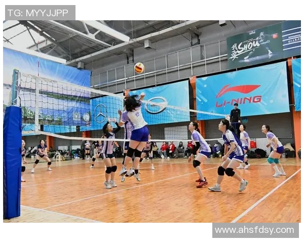 北京排球队的速度革命引发热议全新战术与训练方法的探索与实践